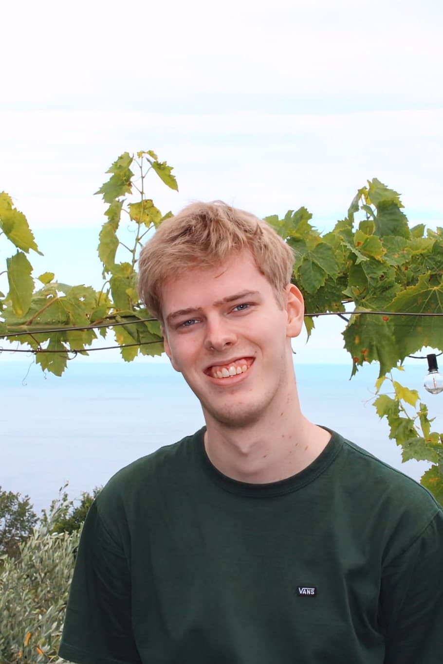 picture of myself in front of a vineyard